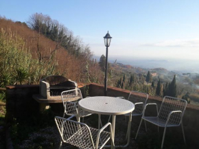Amazing house Valgiano